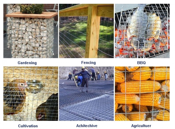 BWG23 grado saldato animale della rete metallica di acciaio inossidabile della gabbia 1/2inch 201 1